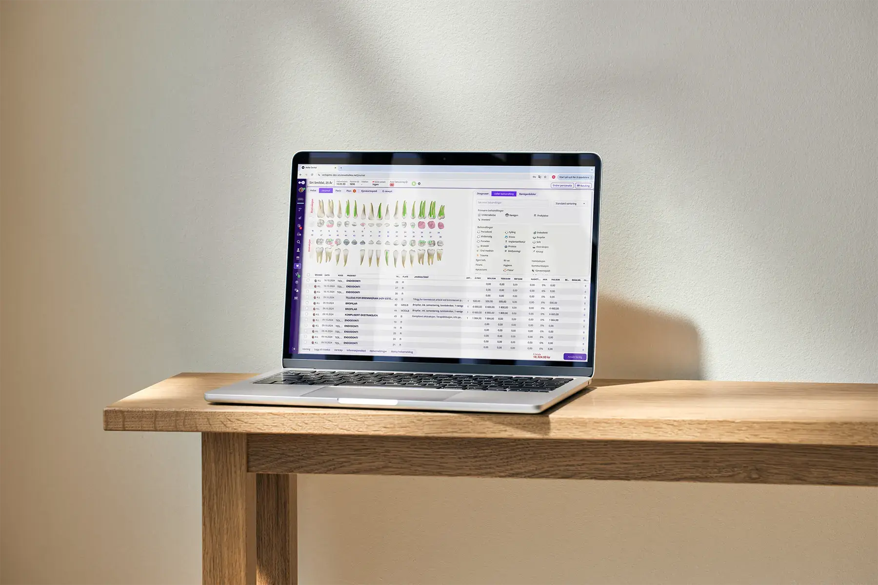 Anita Dental åpent på en laptop på et skrivebord, med tannkart og behandlingsoversikt